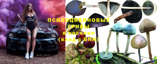 бошки Баксан