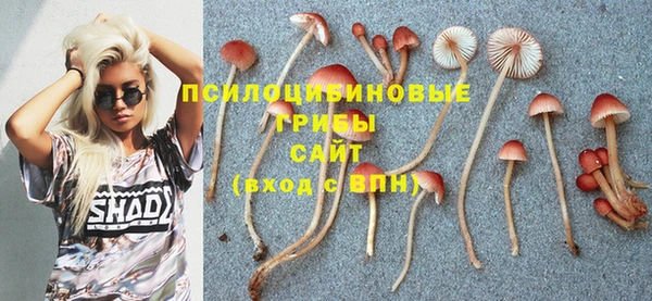 шишки Богданович